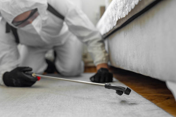 Professional Bed Bug Control technician working in Mount Vernon, GA