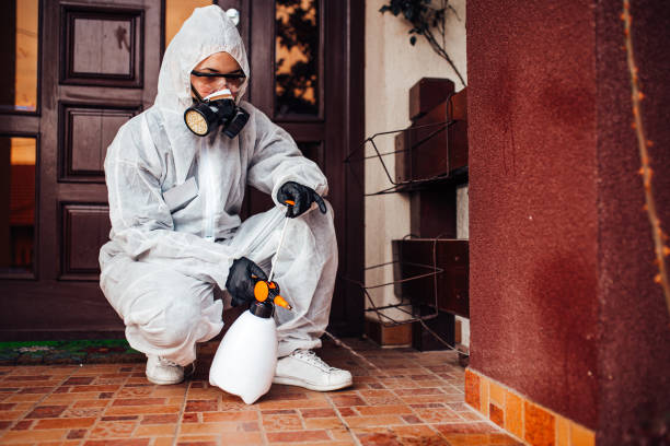 Reliable Bed Bug Control contractor in Mount Vernon, GA by Nex Pest Control