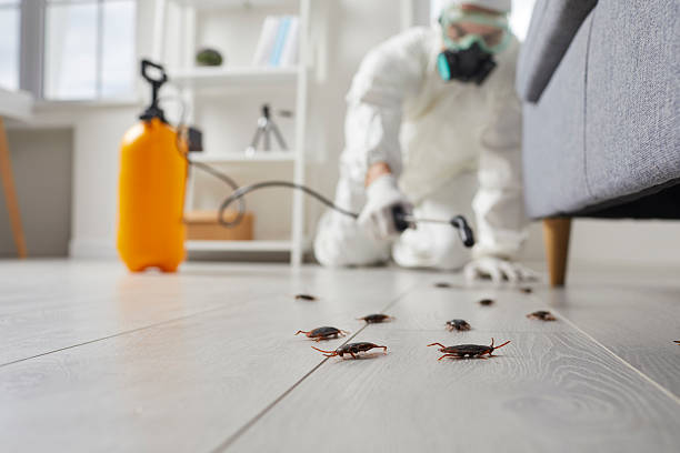 Trusted Termite Control service in Mount Vernon, GA - Nex Pest Control