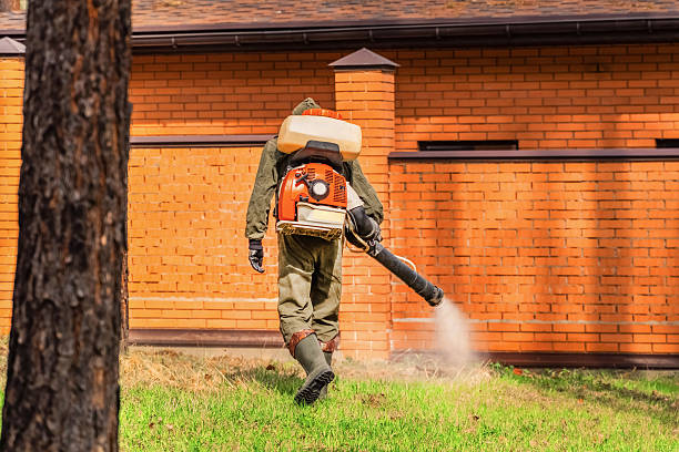 Trusted Rodent Control service in Mount Vernon, GA - Nex Pest Control